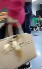 Paciente é violentado por vigilante em UPA