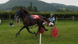 Wales & Border Counties Harness Racing at Presteigne