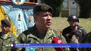 Ecuador condecora a perros detectores de droga, armas y explosivos