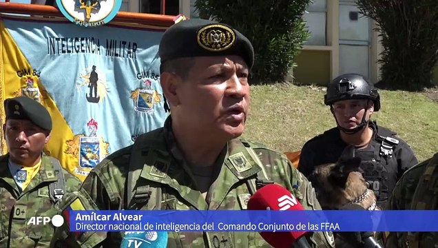 Ecuador condecora a perros detectores de droga, armas y explosivos