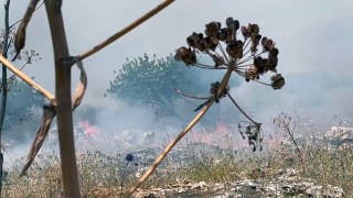 اندلاع حرائق في شمال إسرائيل بعد قصف من جنوب لبنان