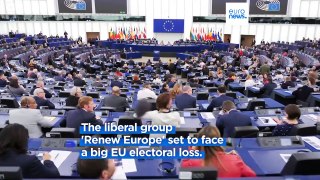 Political decline of liberals: Why could Renew Europe see a major drop in MEPs after EU vote?