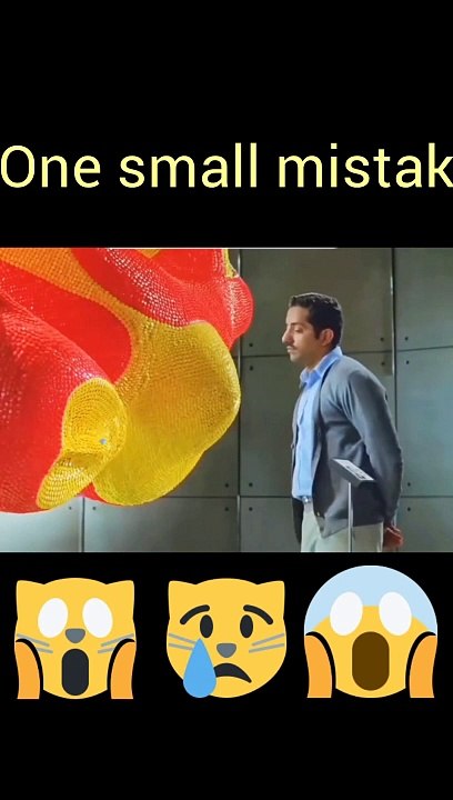 entertainment video