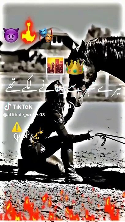 b018113e2df15e250533ea4d84b49bab