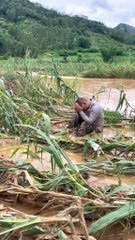 wech Is My Flood  Plz  help me