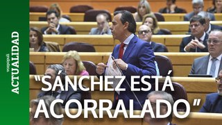 El PP asegura que Sánchez está 