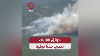 حرائق الغابات تضرب مدنًا تركية