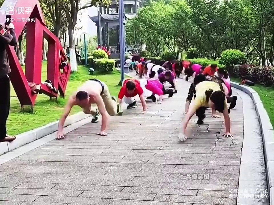 Funny dog and pet's