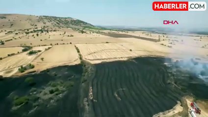 Manisa'da Tarım Arazilerinde Yangın Çıktı