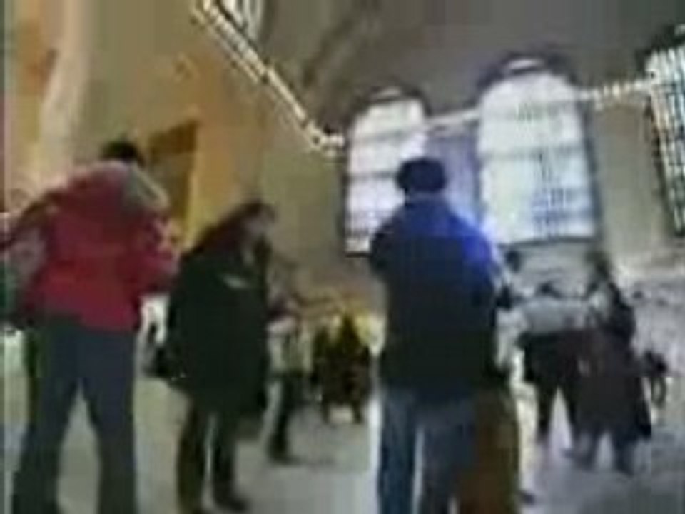 Frozen_Grand_Central_-impressive