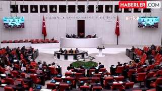 CHP Milletvekili Gülcan Kış, SMA hastalarının durumunu gündeme taşıdı