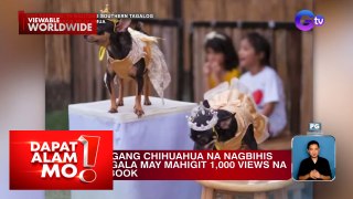 Dalawang aso, hindi nagpahuli sa pagrampa sa sagala | Dapat Alam Mo!