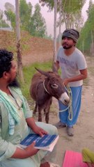 Master Ne Gadhy Ko Insaan Bana Diya!  | Khizar Omer