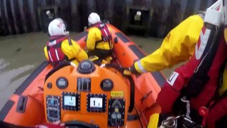 RNLI rescue dog after 14ft fall into river