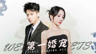 [Hot Drama] Cinderella Marries A Billionaire CEO For Medical Expenses! Full Episode