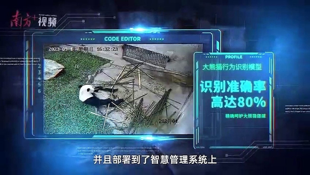 大熊猫睡醒后会干什么？广东00后大学生研发“AI奶爸”……-今日头条