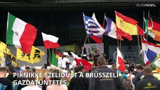 Kevés a résztvevő a szélsőjobboldalhoz kötődő brüsszeli farmertüntetésen