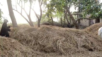 THE NUN GHOST ATTACK PRANK ON POTATO ONWER BOY