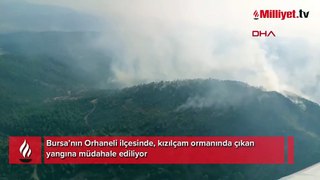 Bursa'da orman yangını; karadan ve havadan müdahale ediliyor