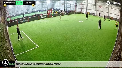 But de Vincent Labouesse - Nankatsu SC