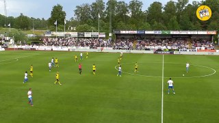 Video: Un gato intenta 'debutar' en la primera división de la liga de Suecia
