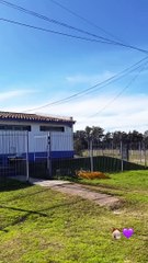 Alan Matturro Profile