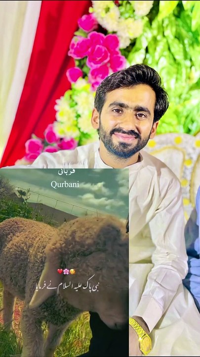 Qurbani ❤❤