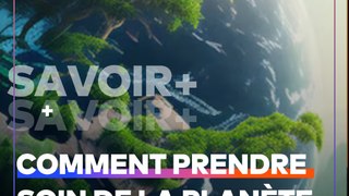 Journée mondiale de l'environnement : voici 3 règles à faire pour maintenir son cadre propre