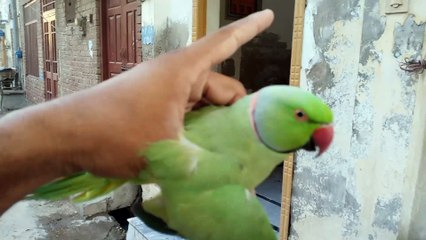 Mera Chota Fan Mujhy Milny aya Or Mujhy Copy Krny Laga