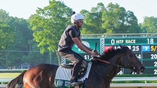 Belmont Stakes Preview: Sierra Leone Tipped as Favorite