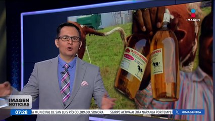 Venden orina de vaca embotellada en India