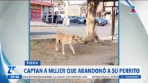 VIDEO: Mujer abandona a su perrito en calles de Puebla