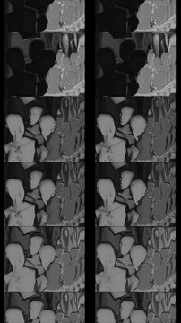 BELLADONNA: HERSTORY