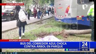 Bus del Corredor Azul choca contra árbol de parque en la avenida Arequipa