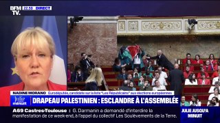 Drapeau palestinien à l'Assemblée: 