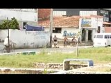 Filme: Capoeira, o valor de uma amizade.