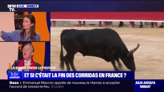 LA BANDE PREND LE POUVOIR - Vers la fin des corridas en France?