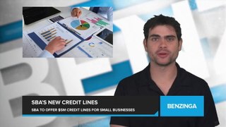 SBA to Introduce New Government-Backed Credit Lines Up to $5 Million for Small Businesses