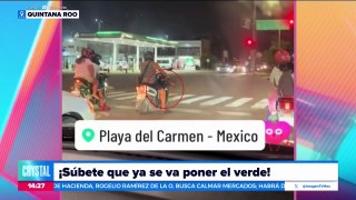 VIDEO: Perrito espera a que cambie el semáforo