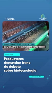 Productores denuncian freno de debate sobre biotecnología