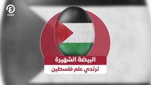 البيضة الشهيرة ترتدي علم فلسطين