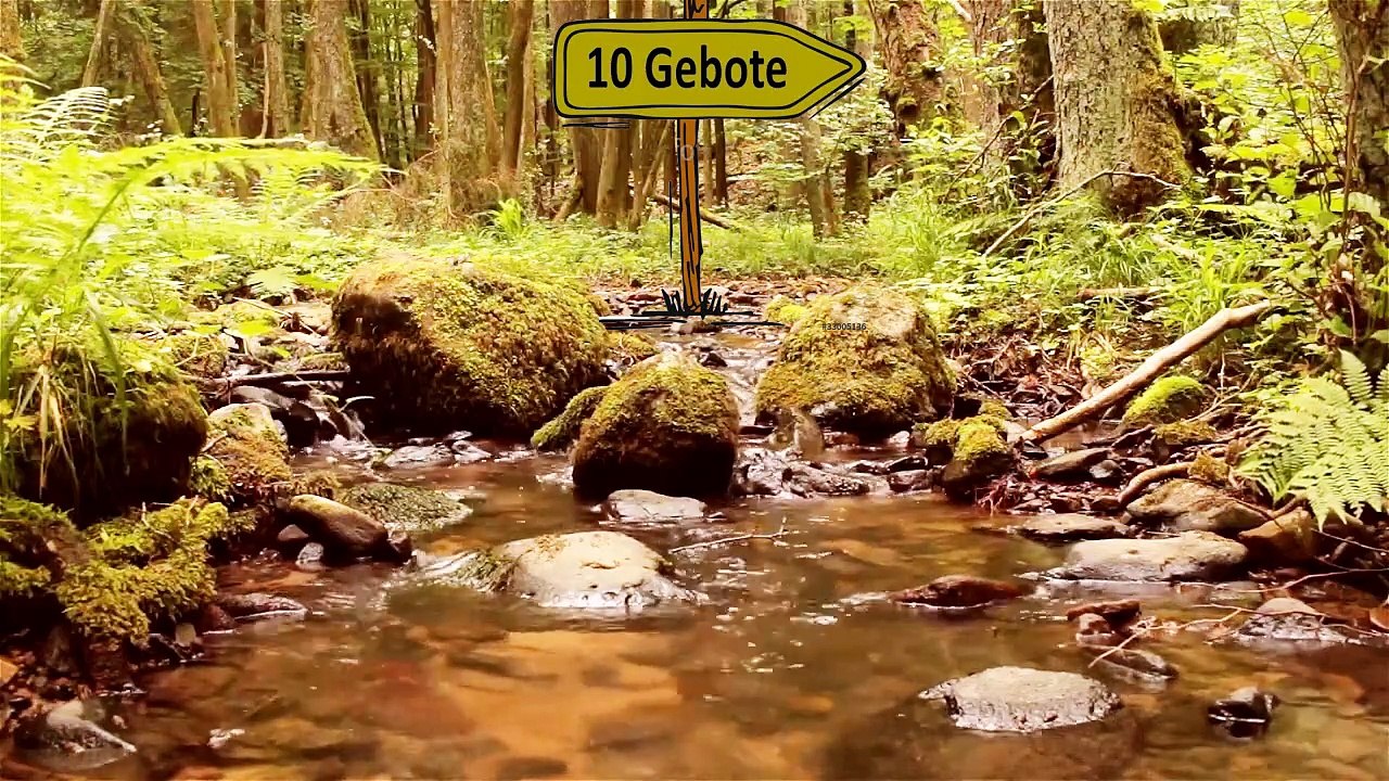 70767 Zeitgeschwisterliche Hausmusik Frage