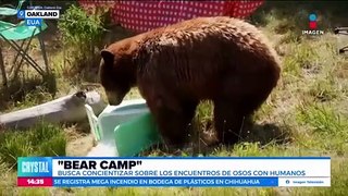 Realizan la tercera edición del “Bear Camp” en Estados Unidos