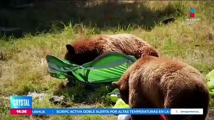 Manuel Guerrero podría regresar a México tras pagar multa