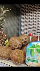 Seeing Faces in Everyday Objects - Part 39