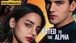 Fated to the Alpha Full [Hot Movie 2024]