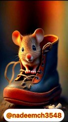 video-output-AE6FD8E0-4F94-4341-A3F2-3065D18F6B08