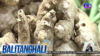 D.A. - Gumagawa na ng hakbang para matugunan ang kakulangan sa supply ng luya sa bansa | Balitanghali