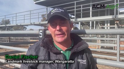 Daniel Fischer, Wangaratta | June 5, 2024 | Stock & Land