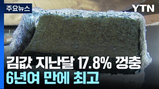 '한국인의 소울푸드' 김 17.8% 올랐다...6년 4개월 만에 최고 [앵커리포트] / YTN
